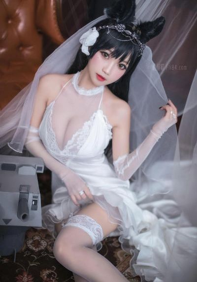 行尸走肉第十二季全集高清_国产剧高清迅雷在线观看