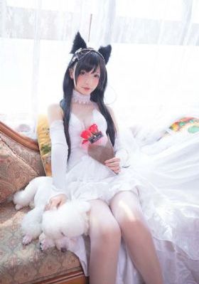 798电视剧网_BD国语免费电视剧